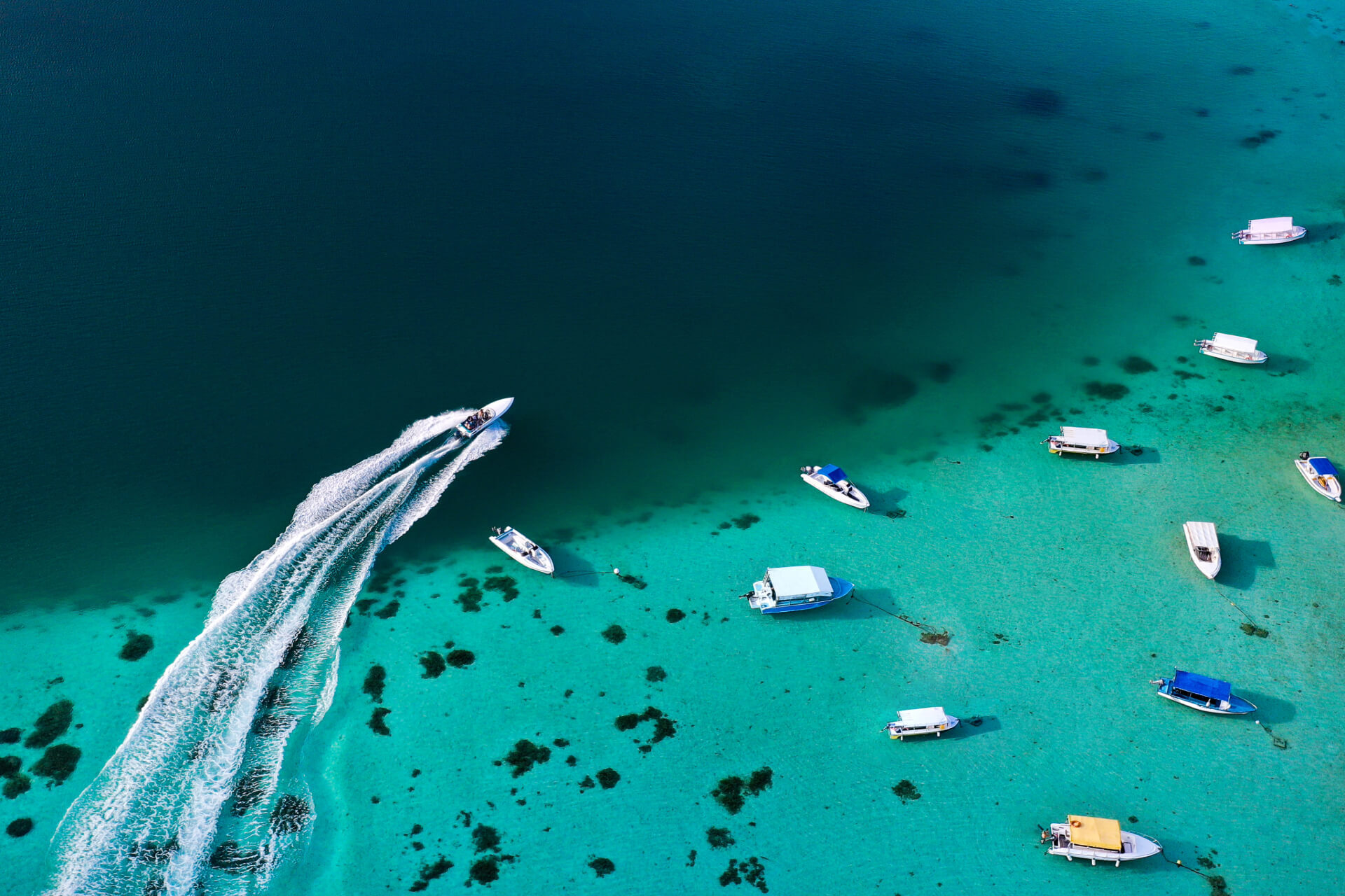 Aerial View of Nitra Boats
